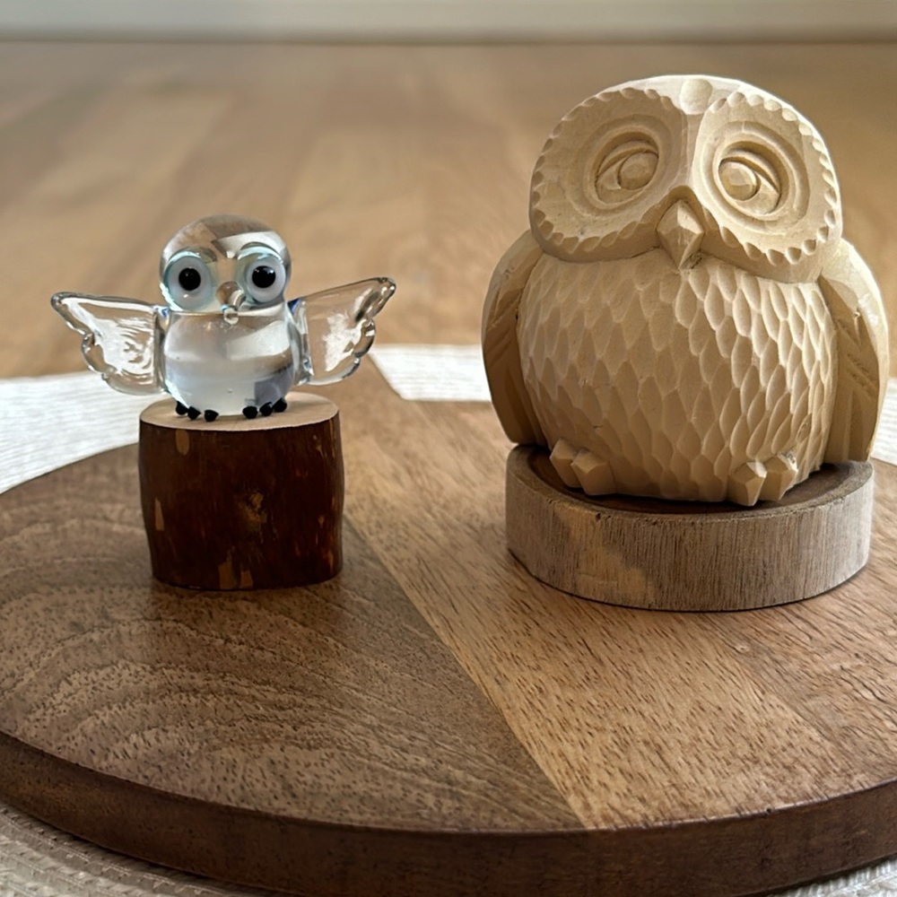 Hand-Carved Cream Wooden Owl Home Accent & Clear Owl Friend